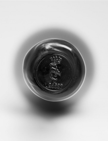 Negroamaro Bio-Rotwein in Reinheit D.O.P. Serre di Terra d'Otranto